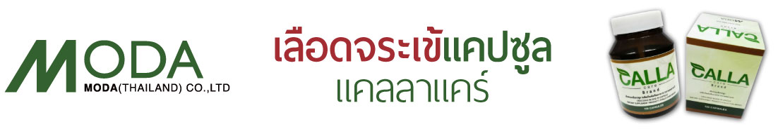 www.modathailand.com